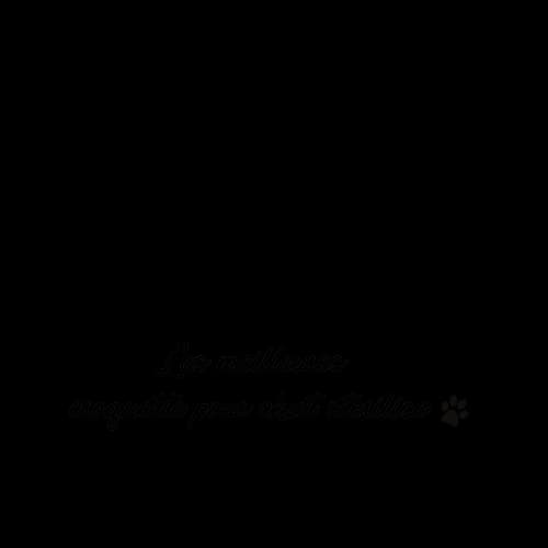 Image de couverture