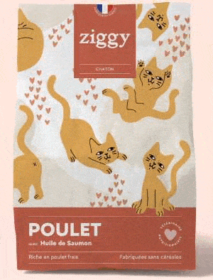 Image de produit recommandé